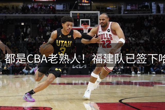 都是CBA老熟人！福建队已签下哈姆雷特与达里尔·梅肯
